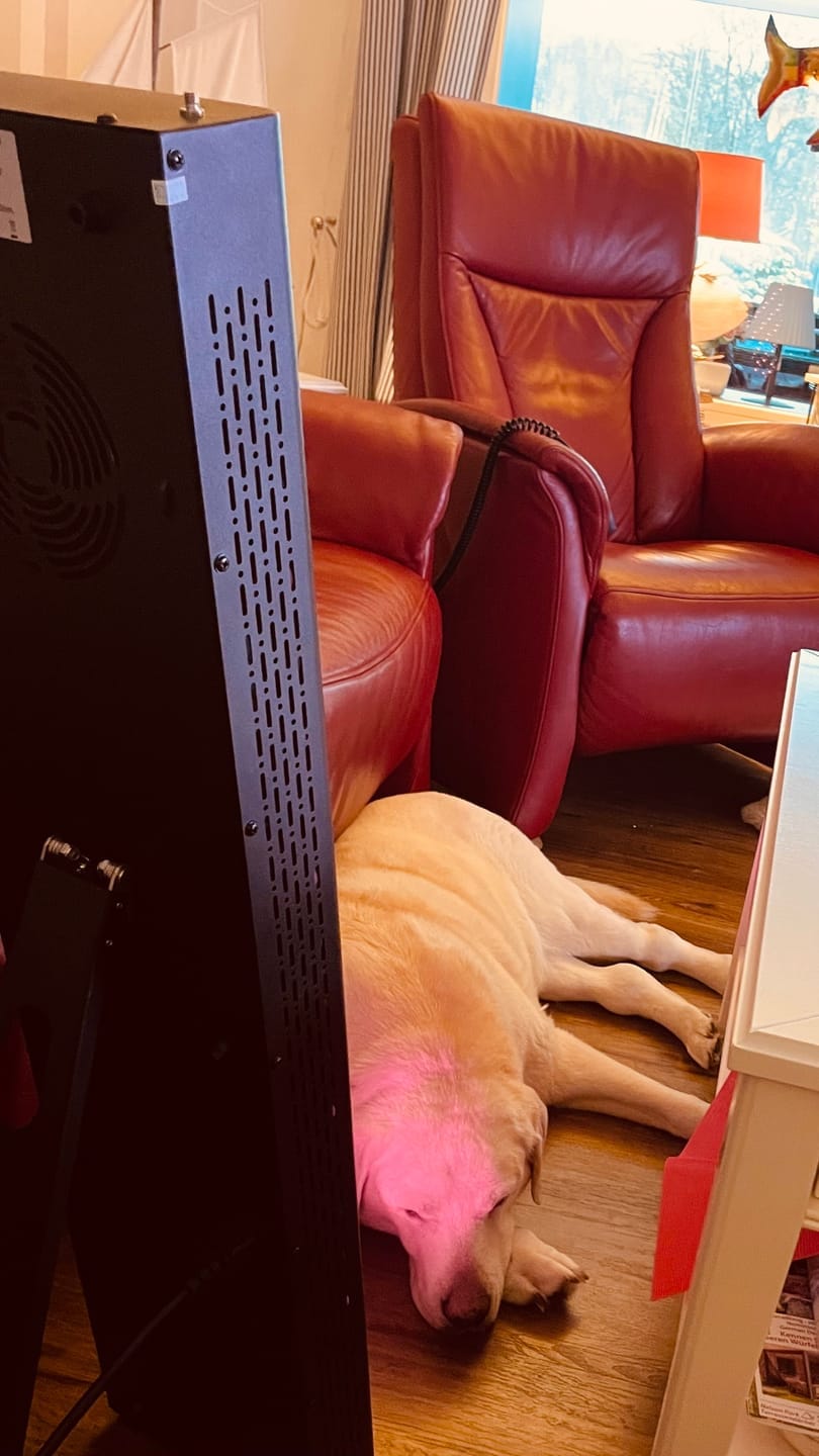 Customer photo review of Koanna® Luma1000™ – Powerful, Mid-Size Red Light Therapy Panel
