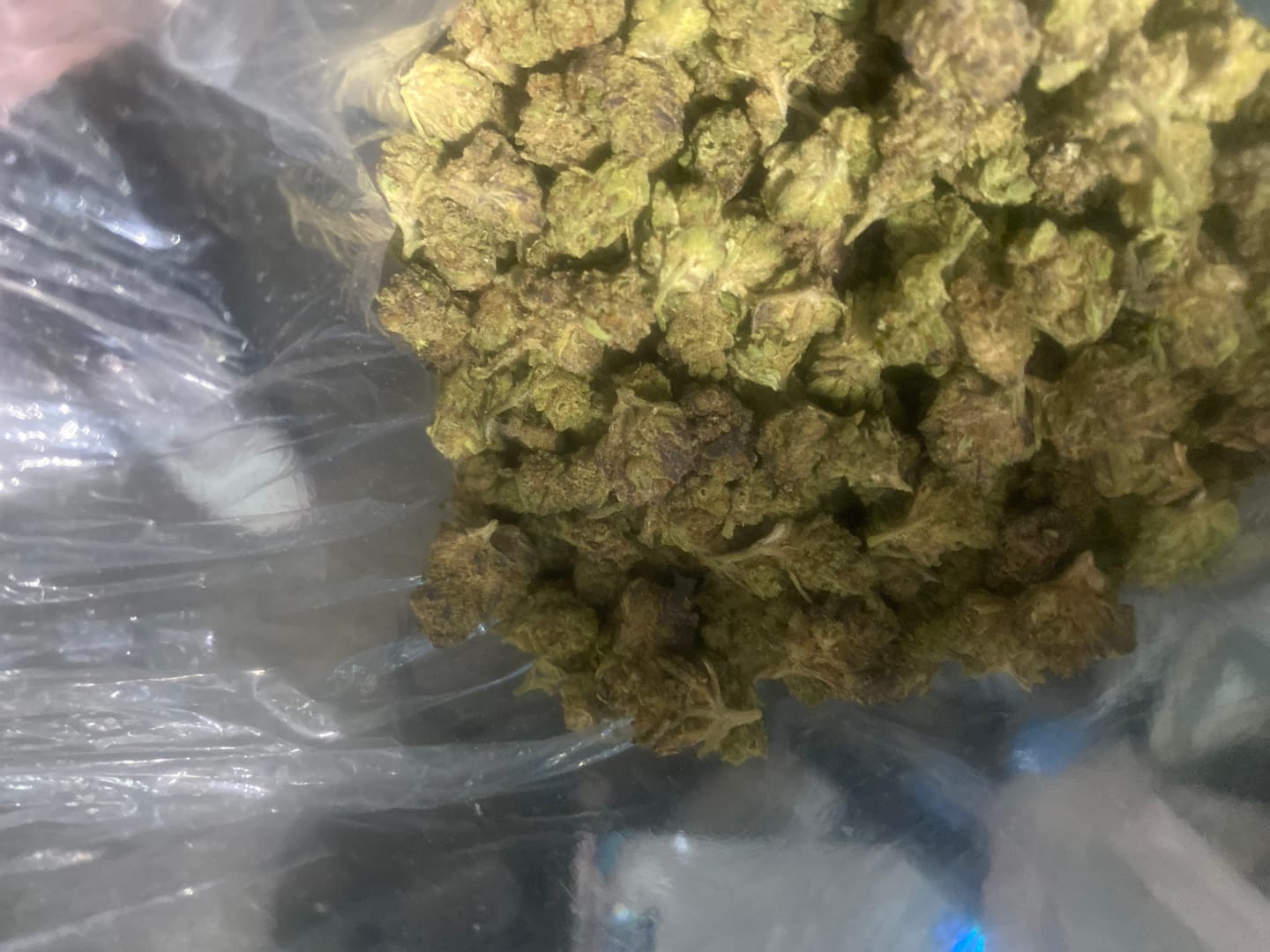Customer photo review of QP of Smalls - Bulk - 1/4 Pounds
