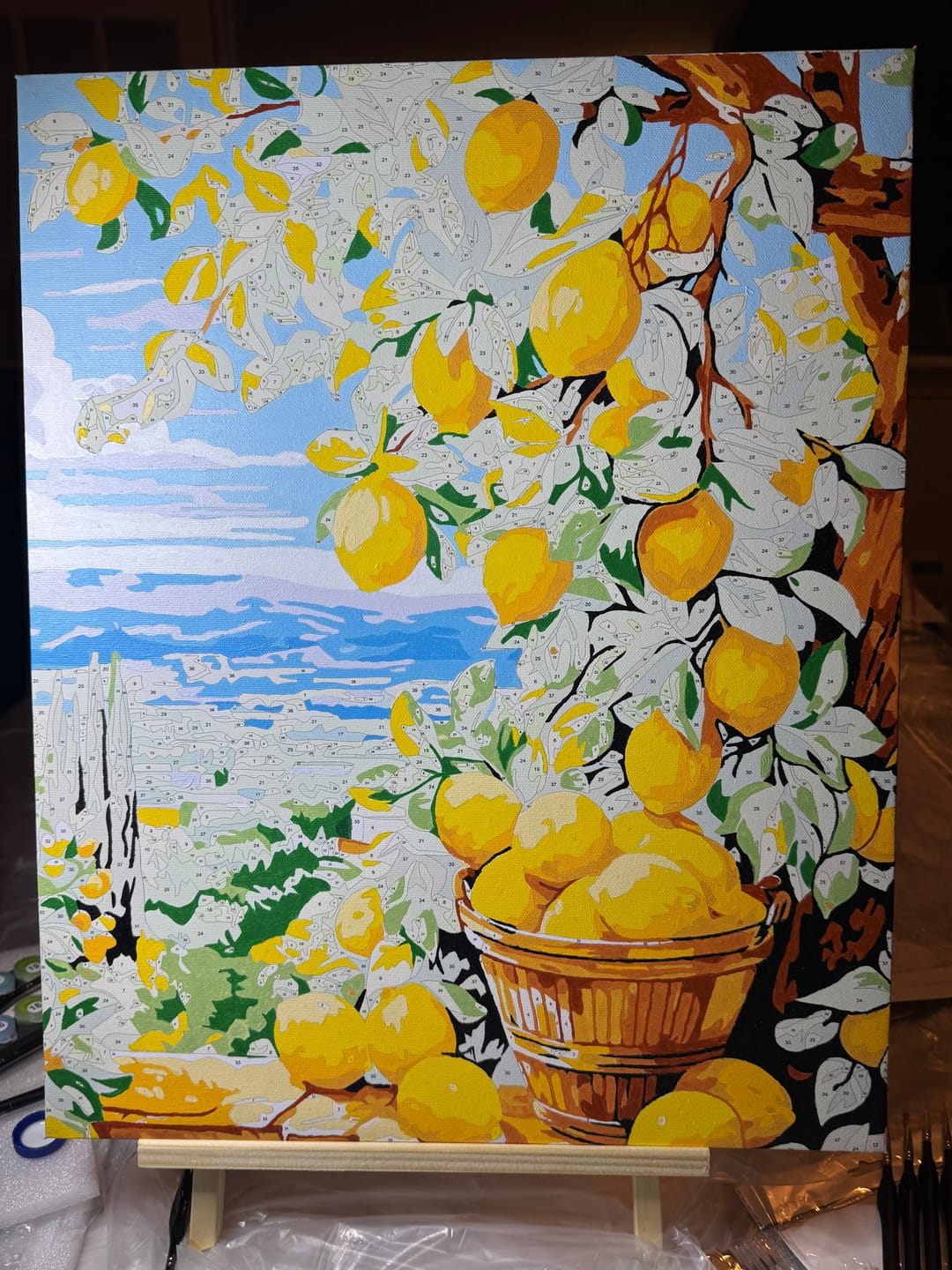 Customer photo review of Bounty Lemons