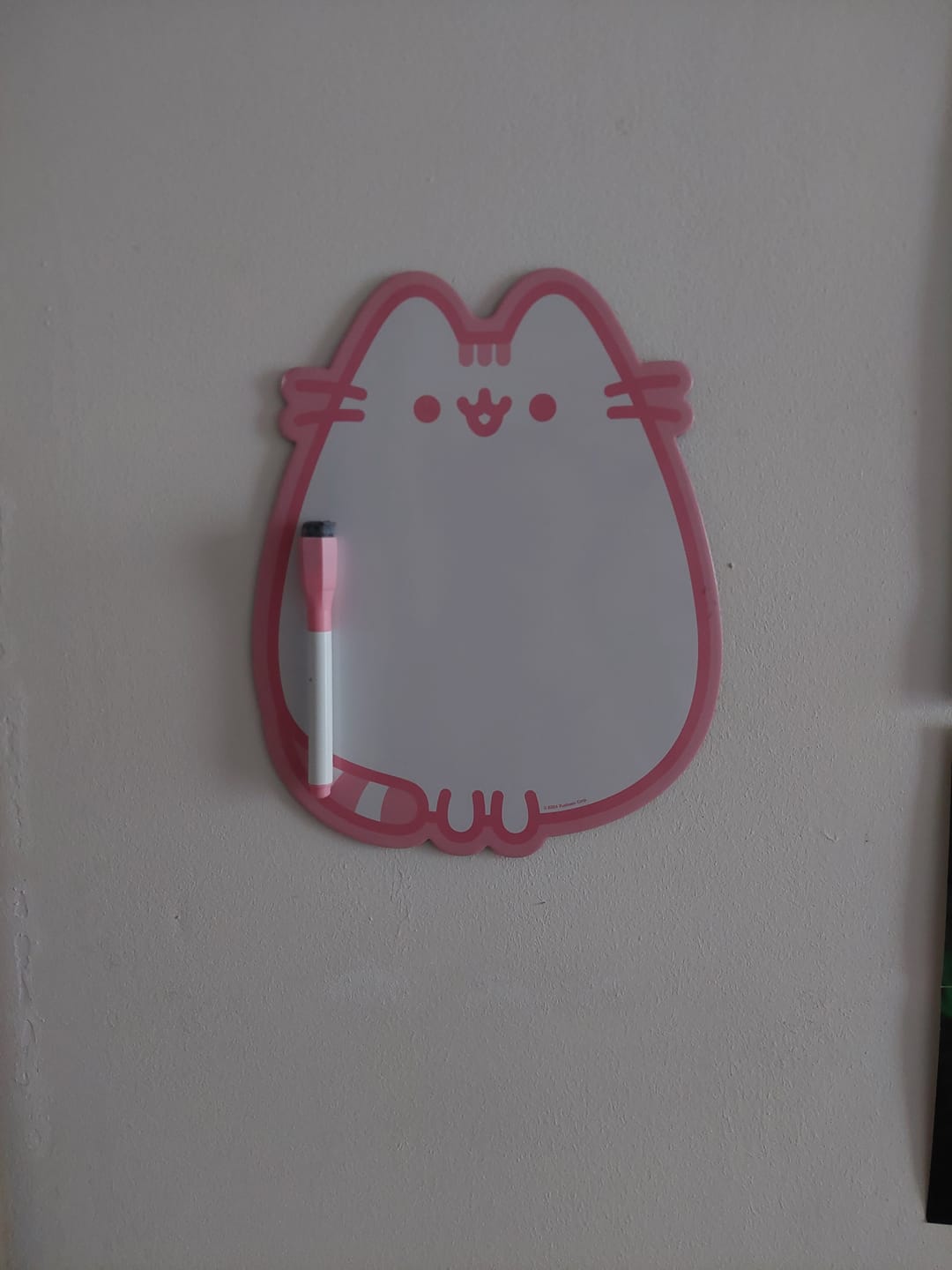 Customer photo review of Mooving at Work - Pizarra Pusheen 30 x 22 cm
