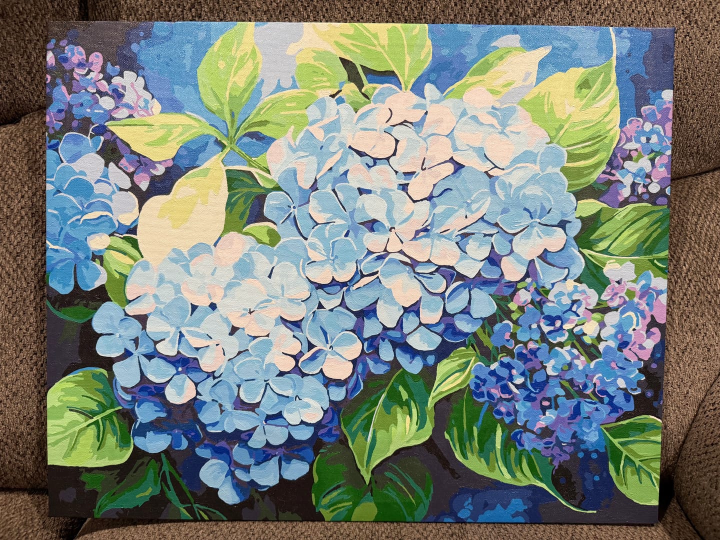 Customer photo review of Blue Hydrangea