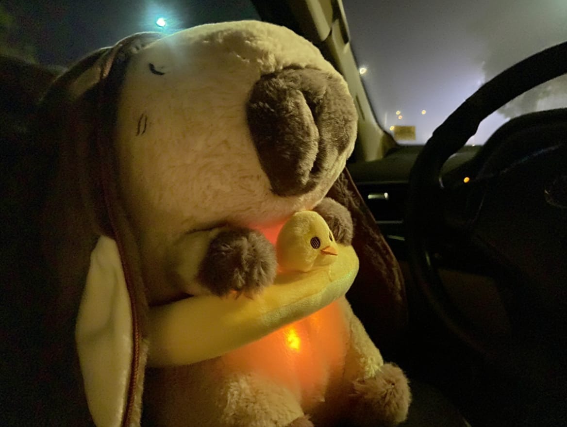 Customer photo review of Premium Breathing Anti-Stress Capybara