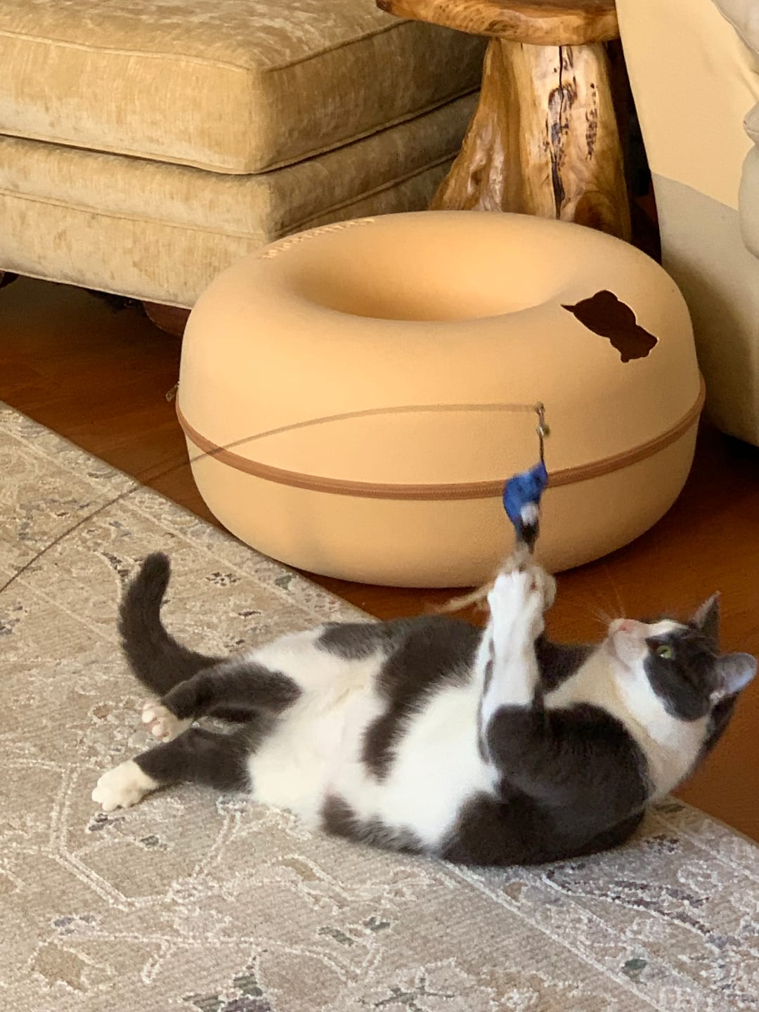Customer photo review of Interactive Bird Simulation Cat Toy Set