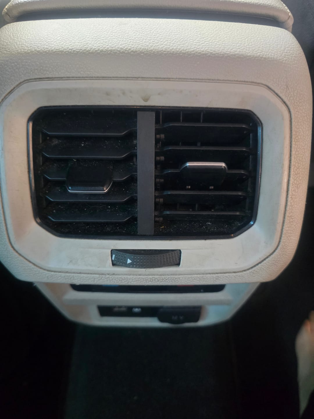 Customer photo review of Cleanse - Leather Cleaner