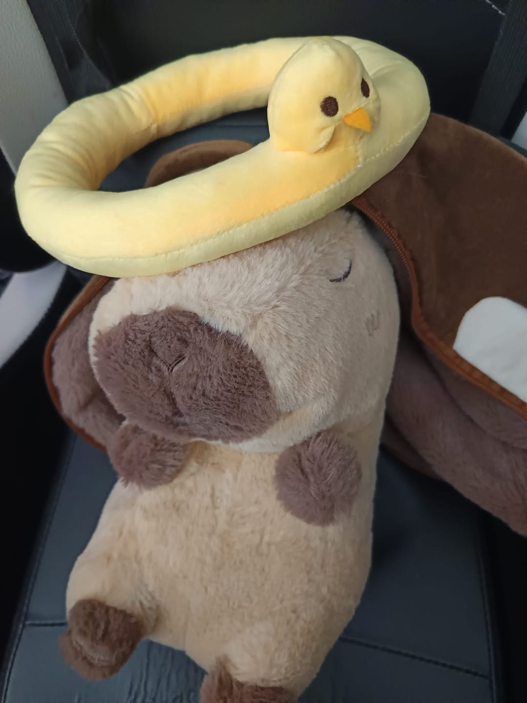Customer photo review of Premium Breathing Anti-Stress Capybara
