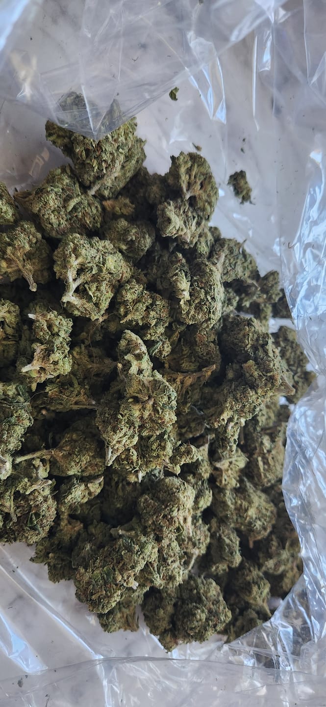 Customer photo review of Oakland Runtz - Bulk - Hybrid
