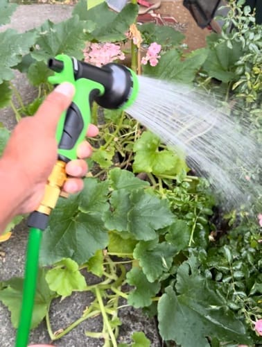 Customer photo review of Garden Magic Hose | Expandable Hose Pipe