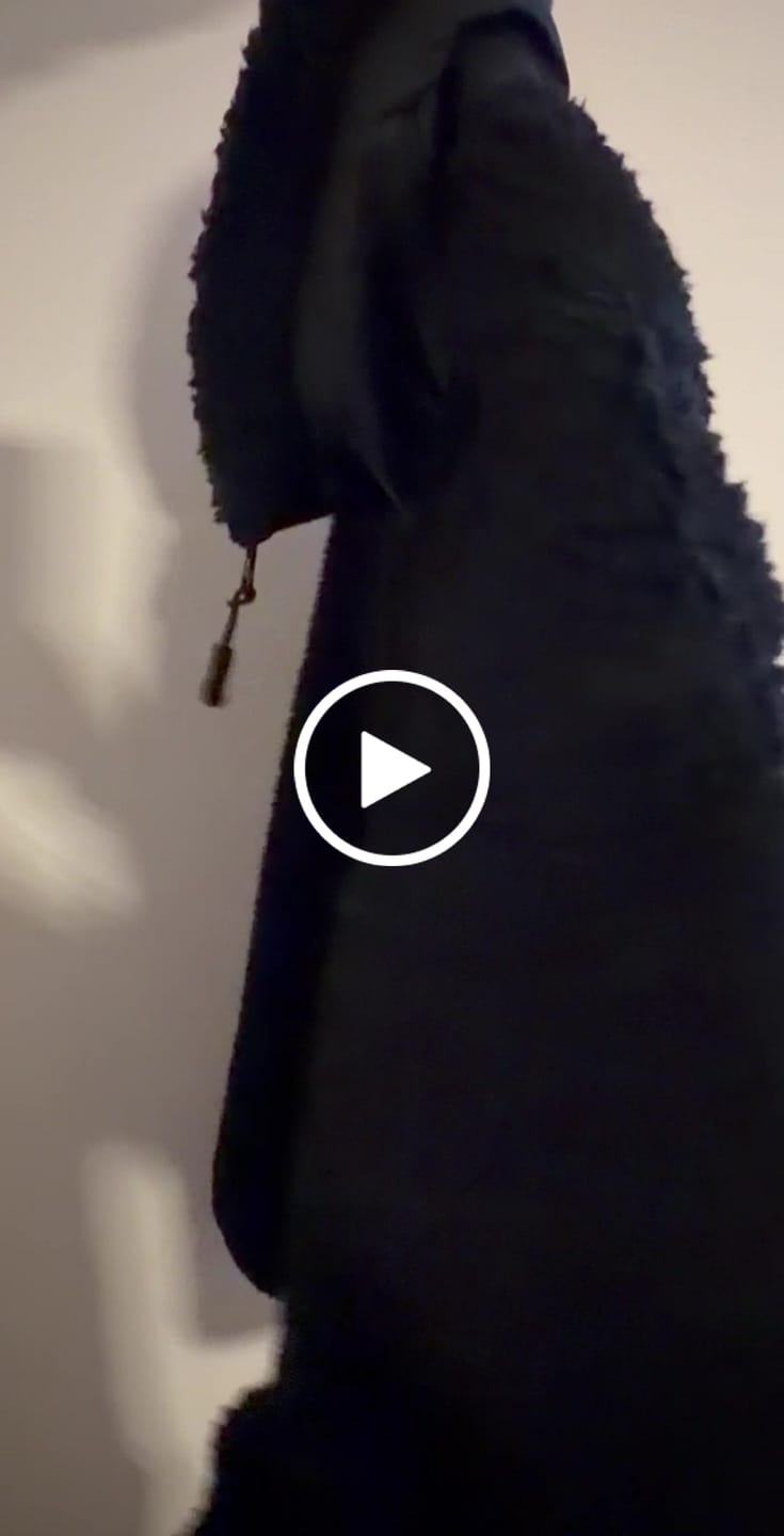 Customer video review of Lifestyle Herren Teddy Jacke mit Stehkragen by SAEBIS®