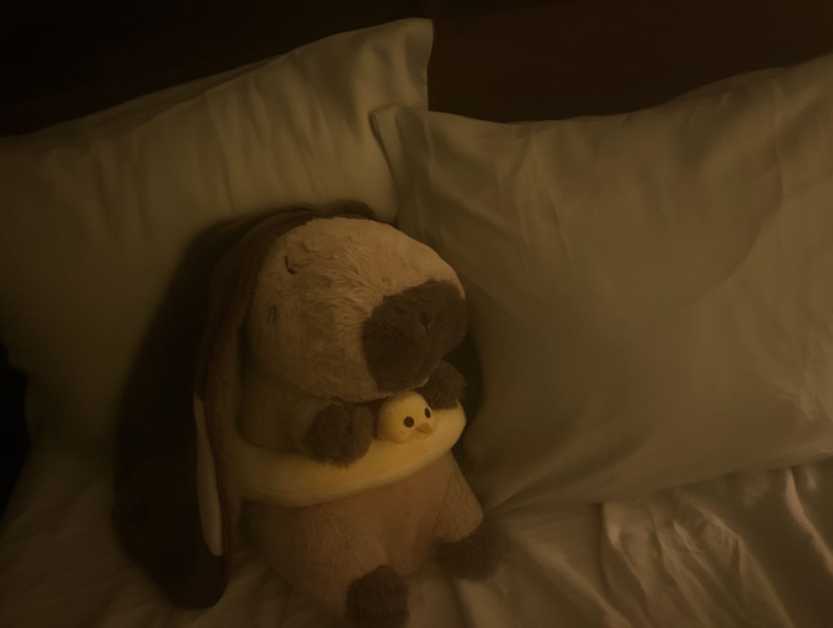 Customer photo review of Premium Breathing Anti-Stress Capybara