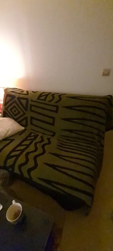 Customer photo review of Protège Canapé Universel Design – Doux & Luxueux