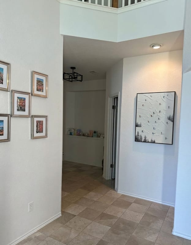 Customer photo review of Skiing Sports Textured Wall Art #MS018