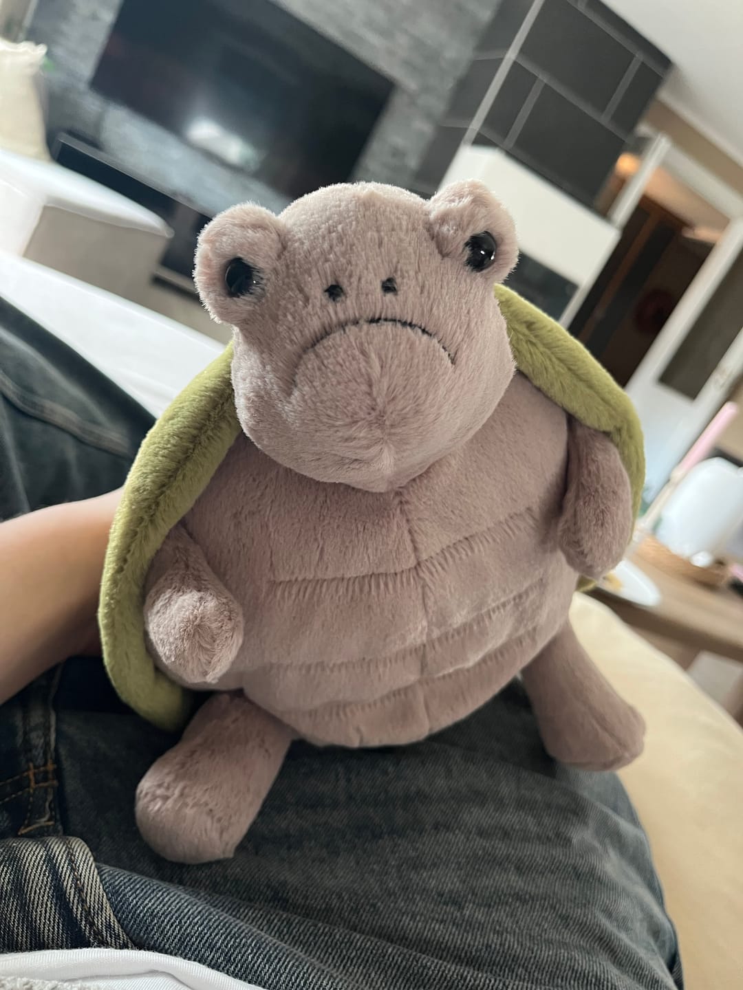 Customer photo review of Timmy Turtle | Jellycat