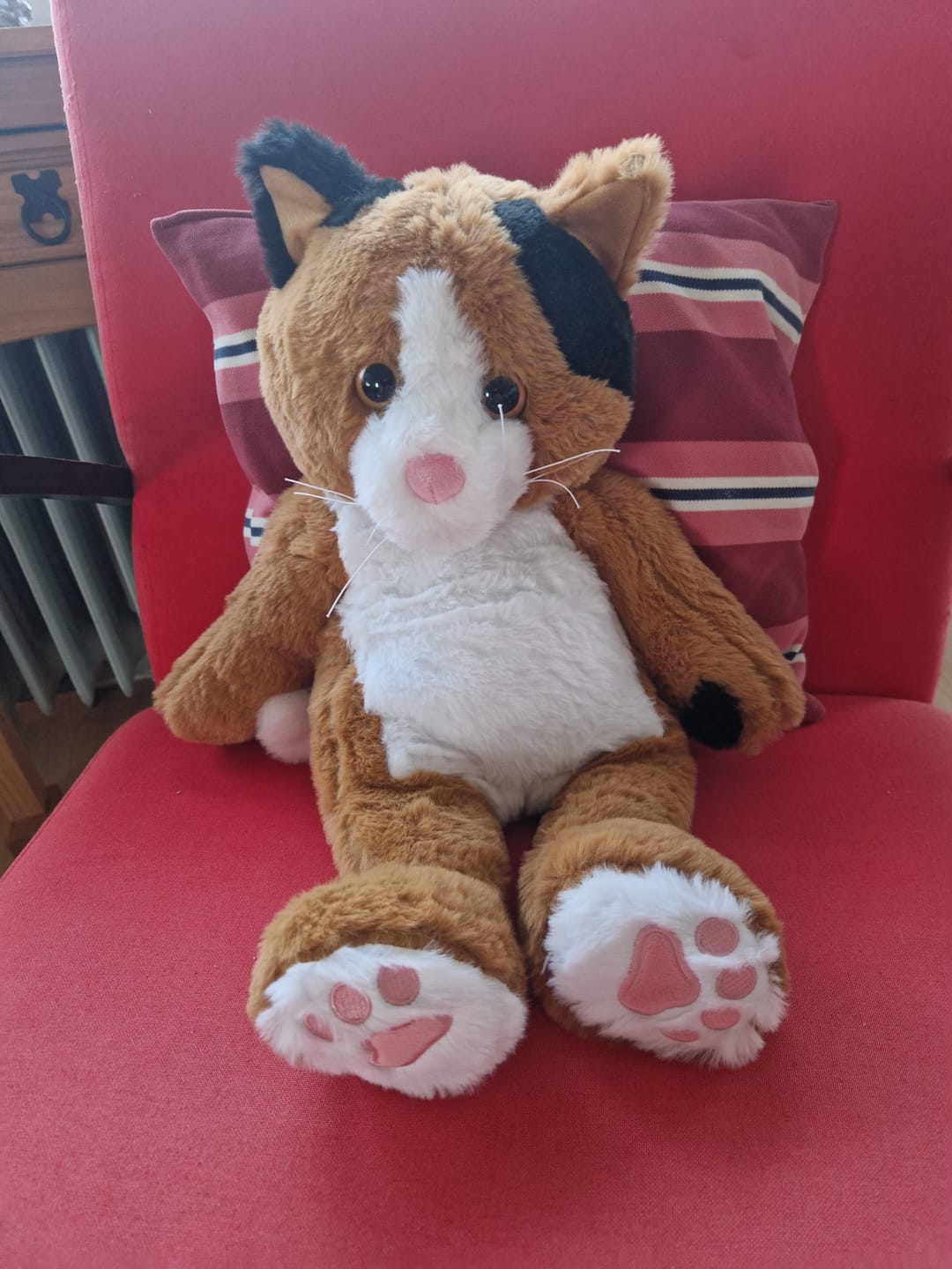 Customer photo review of Verzwaringsknuffel Kat 2,2 kg + Gratis Pittenzakje