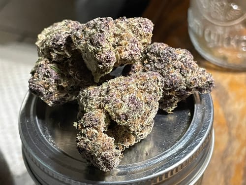 Customer photo review of Purple Trainwreck Indoor - Bulk - Sativa