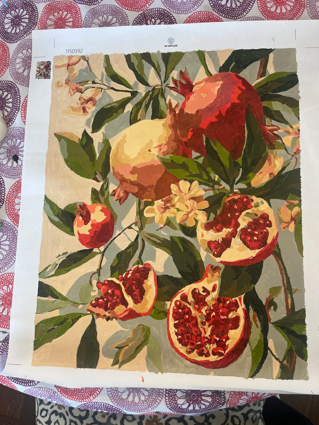 Customer photo review of Blooming pomegranates | Paint by Number