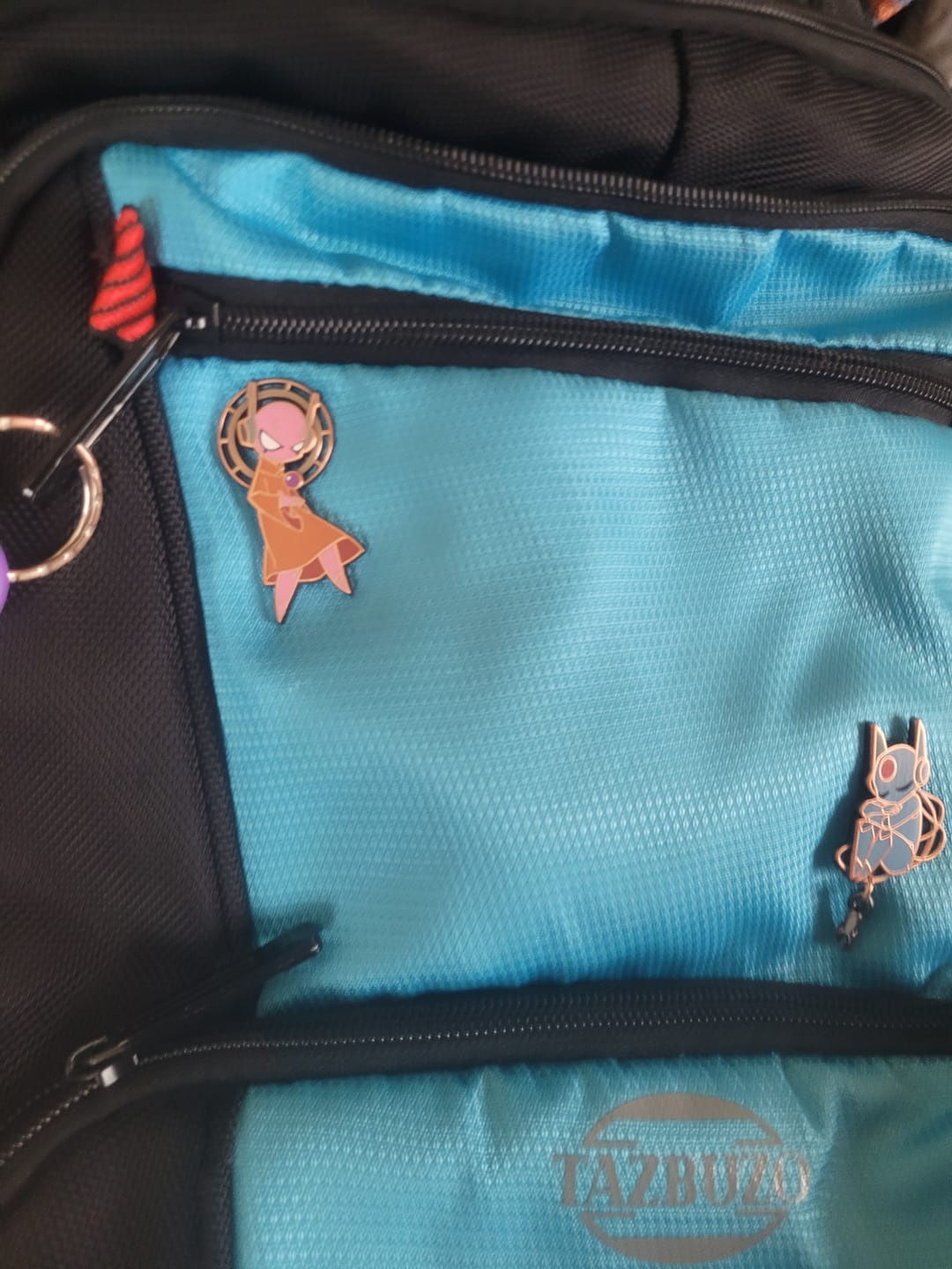 Customer photo review of Rain World - Random Synthetic God Pin