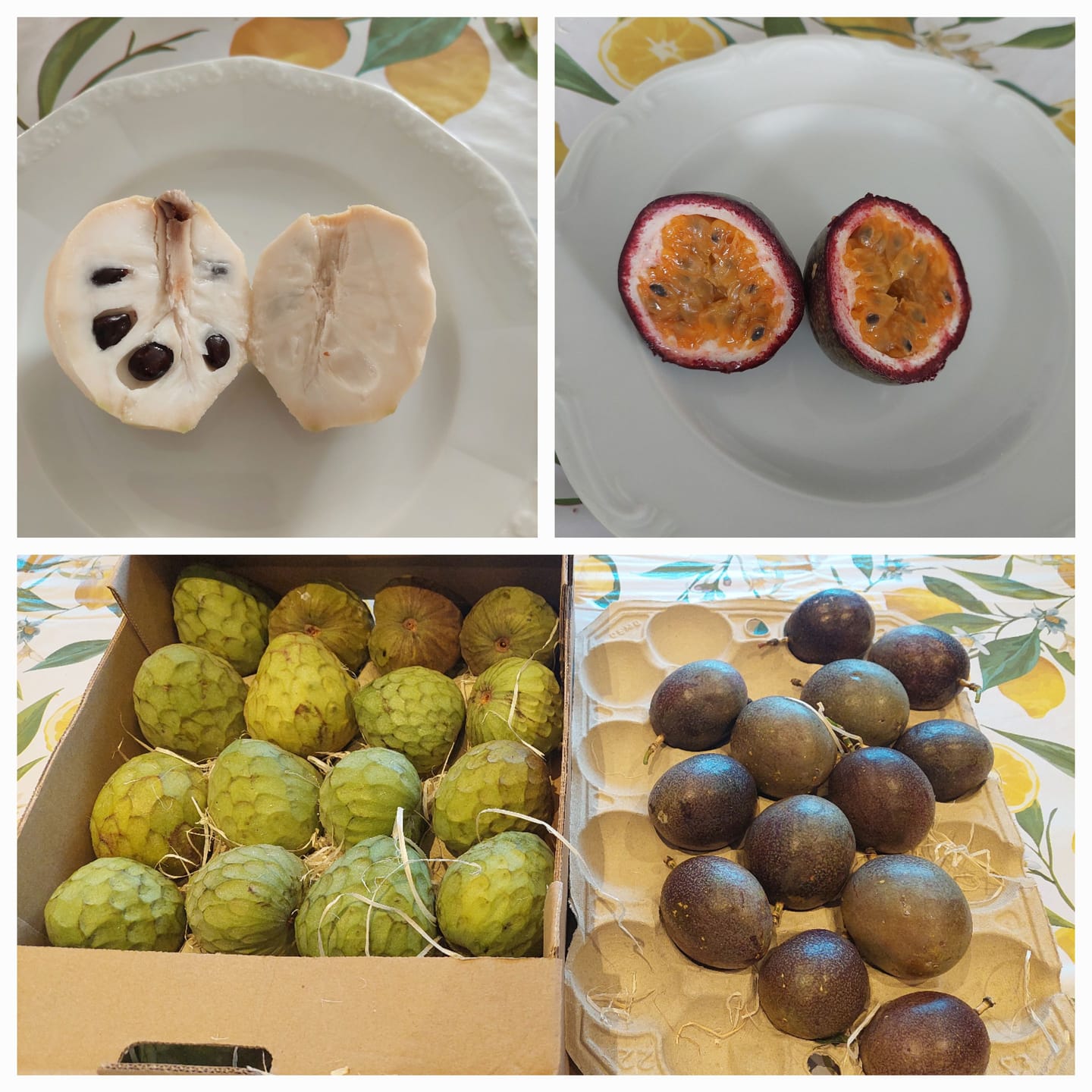 Customer photo review of Passionsfrüchte von Julian Sonderaktion %