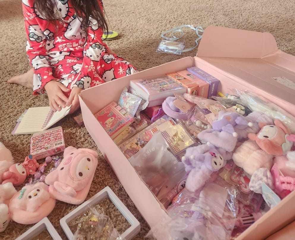 Customer photo review of Sanrio Lucky Scoop