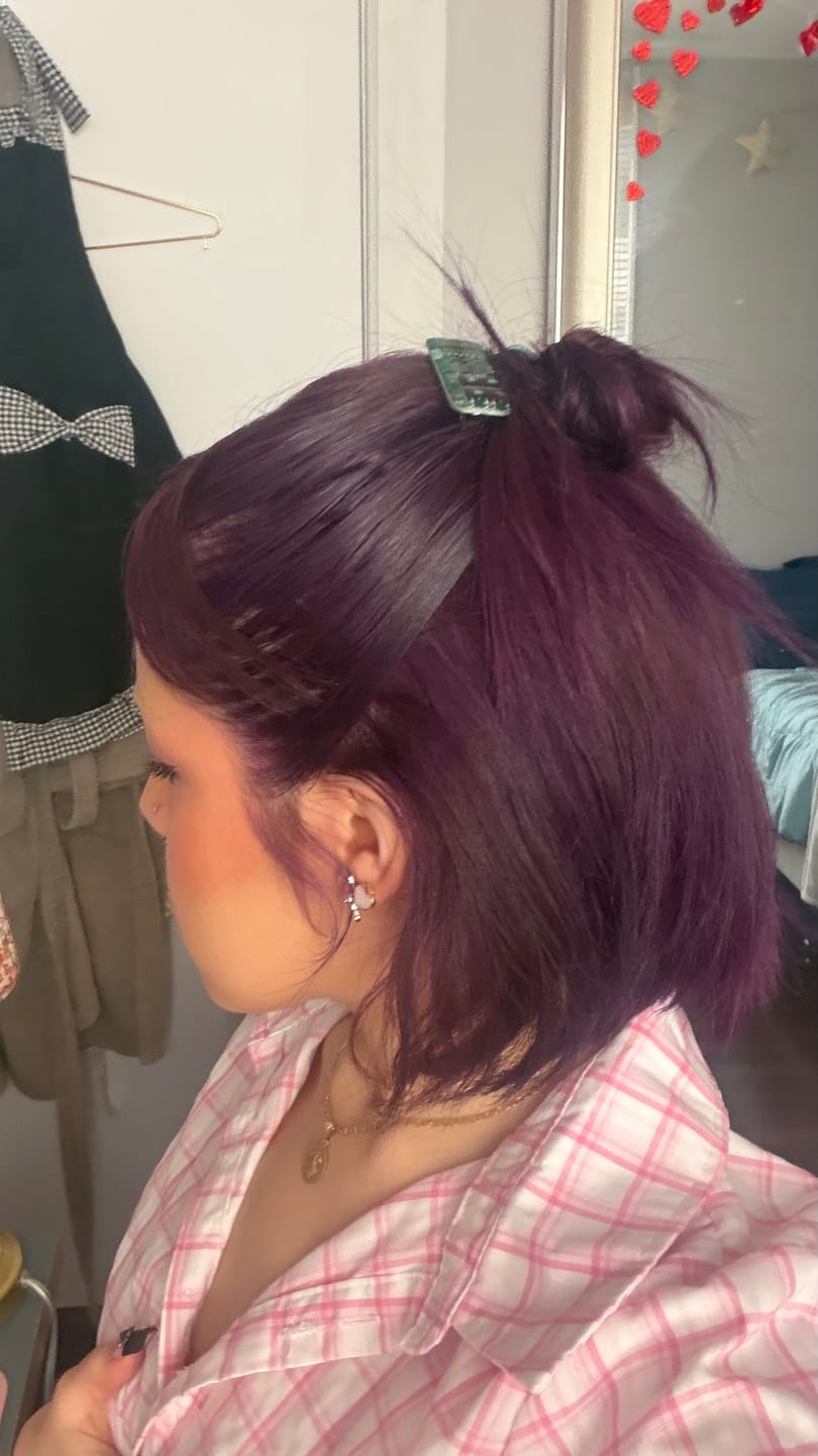 Customer photo review of circuit board hair clip set