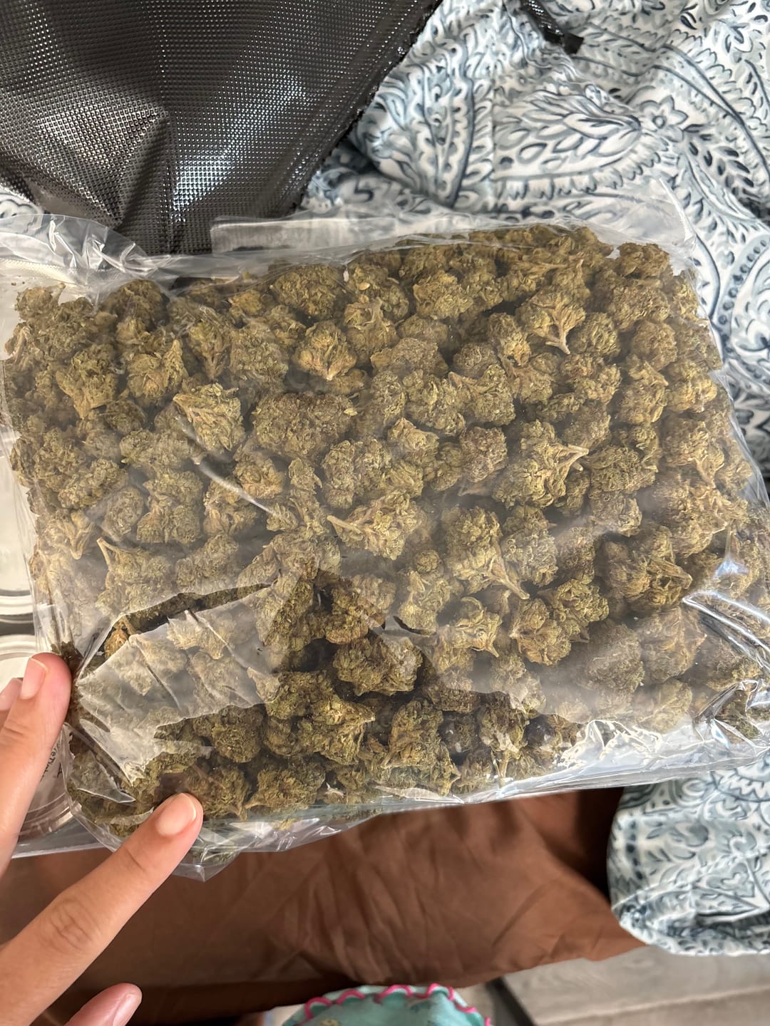 Customer photo review of Star Dog - Bulk - Indica