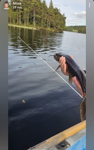 Customer photo review of HyperDraget - Ta vårfisket till nästa nivå