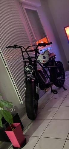 Customer photo review of Shipping Protection