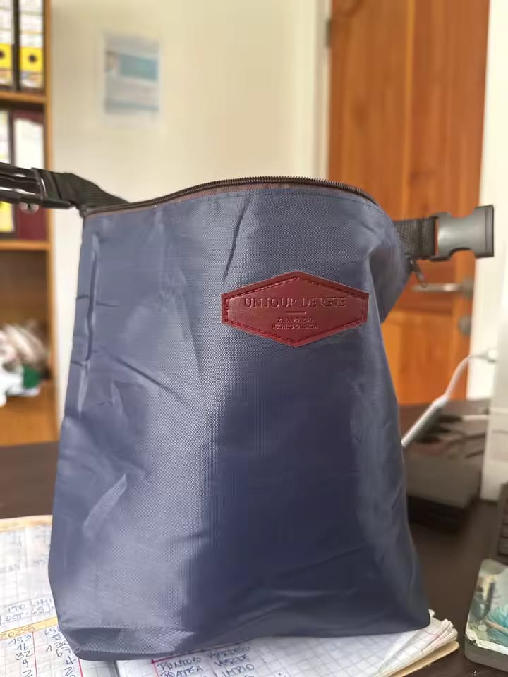 Customer photo review of Insulated Portable Lunch Bag & Food Storage Handbag