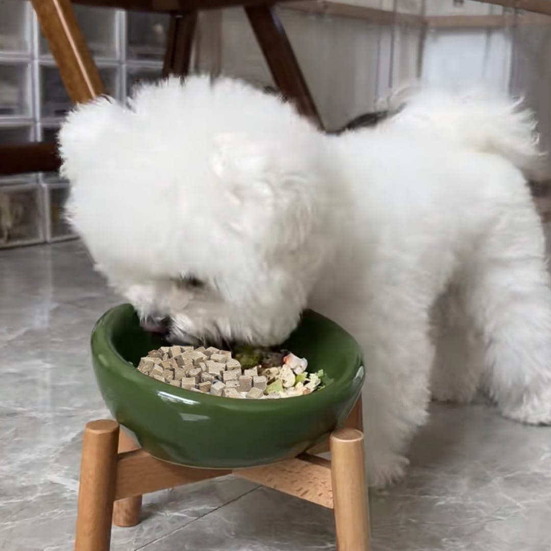 Customer photo review of Freeze-Dried Pure Beef Liver Bites