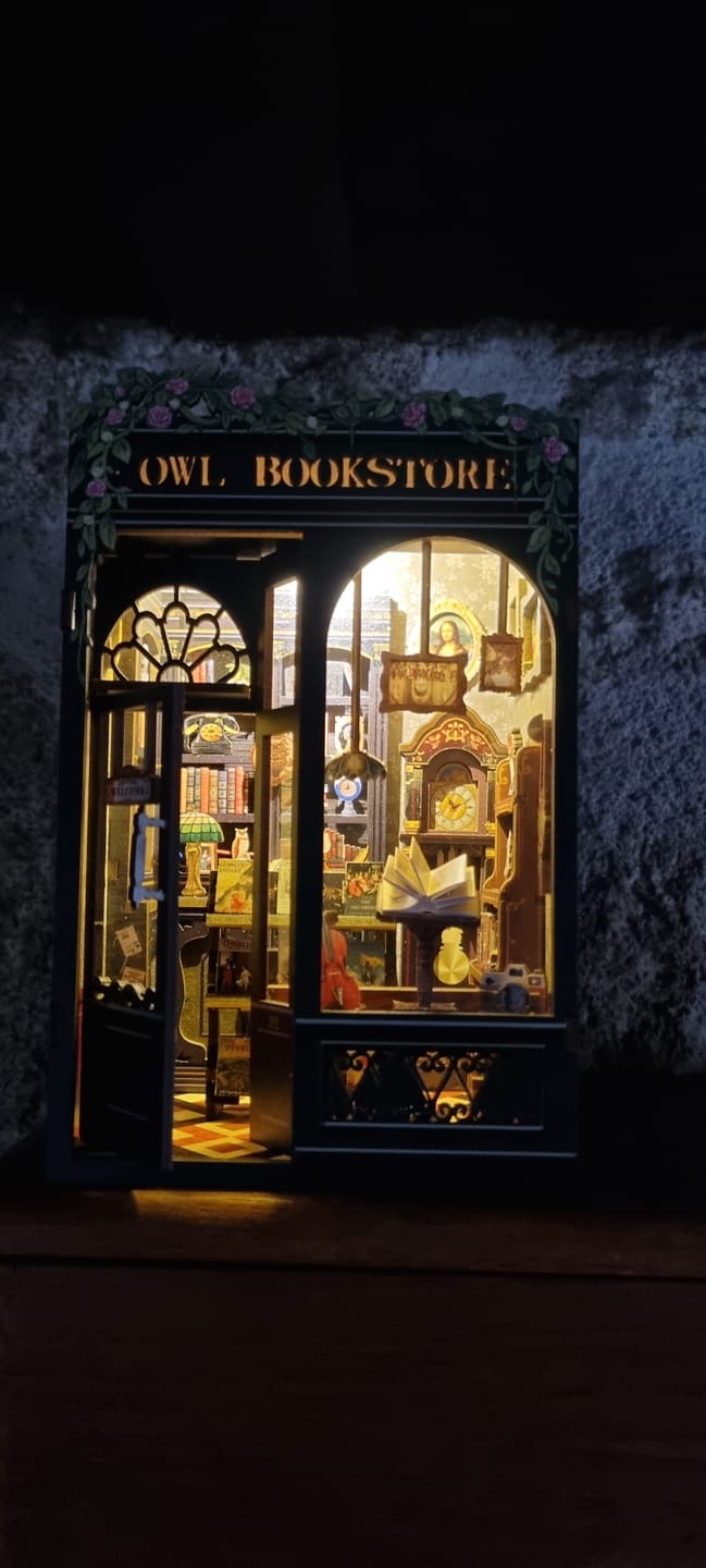 Customer photo review of Book Nook Owl Bookstore