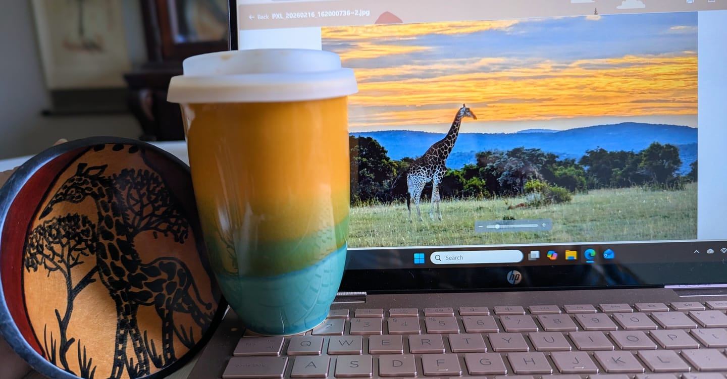 Customer photo review of Savannah Cup 12oz