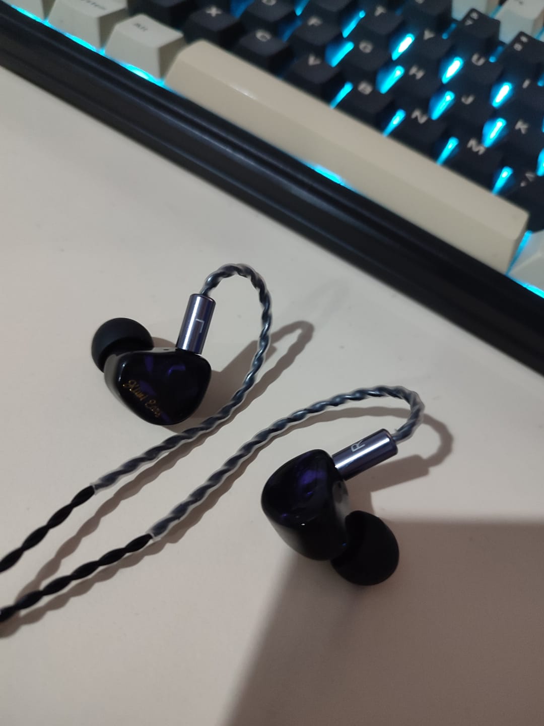 Customer photo review of Kiwi Ears Cadenza IEM Kulaklık