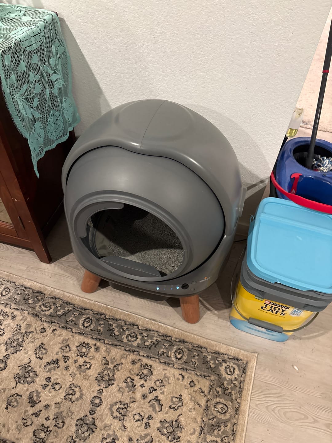 Customer photo review of [Women's Day Sale] Orbitie with Wide Opening Self Cleaning Litter Box