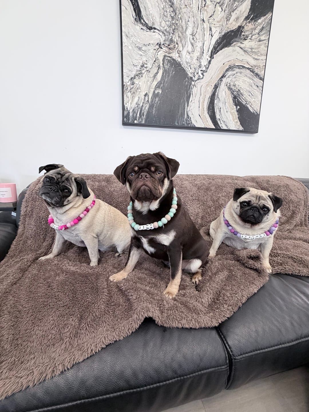 Customer photo review of Alphabet Pom Pom Collar
