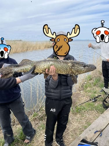 Customer photo review of HyperDraget - Ta vårfisket till nästa nivå