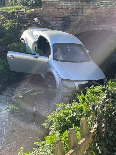 Customer photo review of Impeccable Chicken Variety Bundle