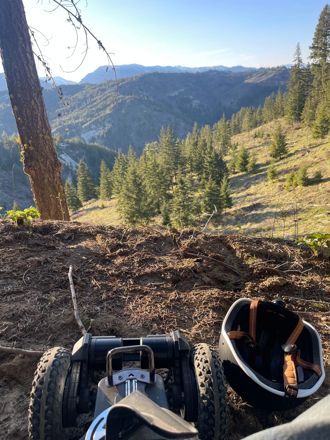Customer photo review of Exway Atlas V2