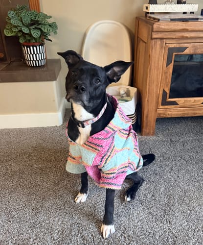 Customer photo review of Playa Poncho – Mystery Color (Bella, Charlie, or Fun Edition)