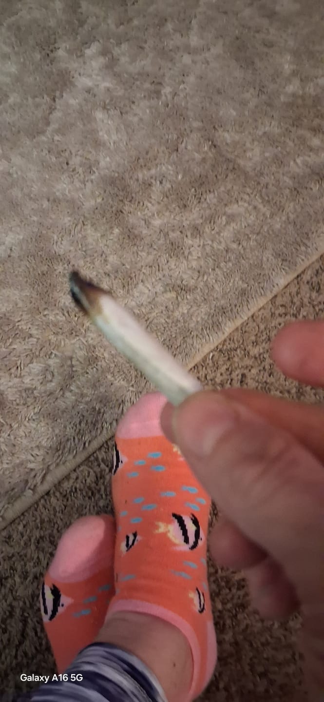 Customer photo review of Berry Gelato - 28 Grams - Indica