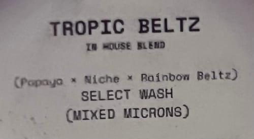 Customer photo review of Tropic Beltz (Select Wash)