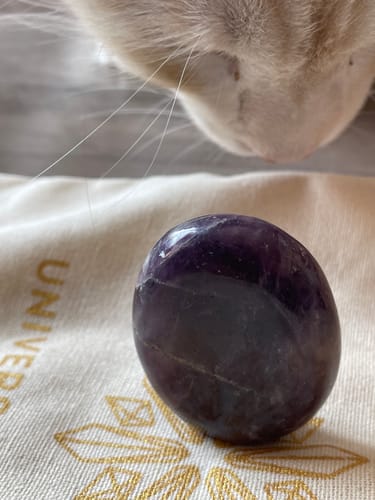 Un client montre sa Lépidolite Forme libre polie en train d'être inspectée par un chat.