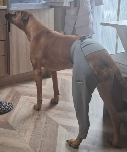 Customer photo review of Lick Sleeve