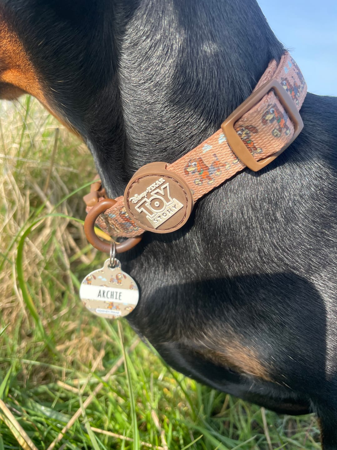 Customer photo review of ID Tag Disney© - Slinky