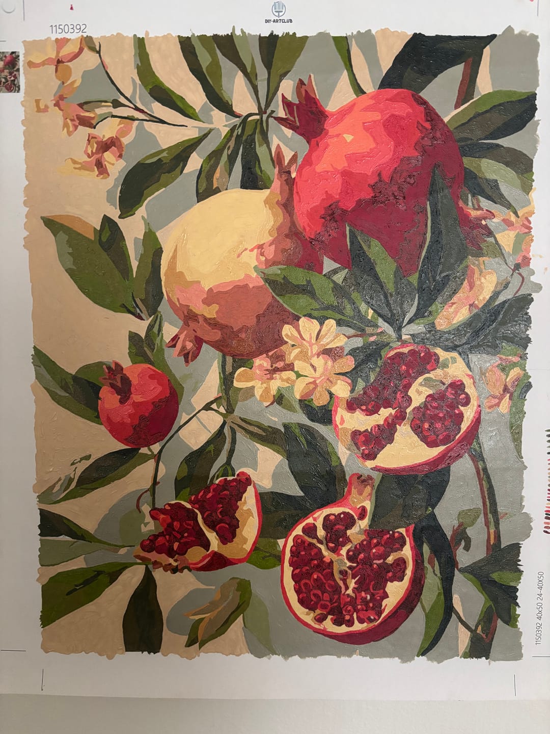 Customer photo review of Blooming pomegranates | Paint by Number