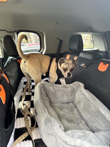 Customer photo review of Luxe Dog Bed - For The RuffRover 2.0™