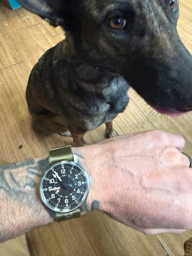 Customer photo review of Overlord (VIP)