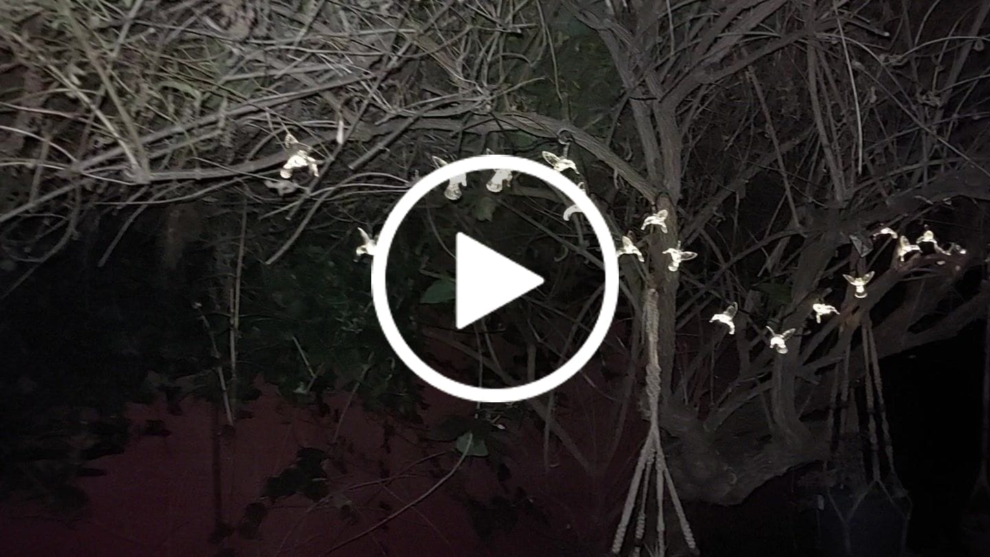 Customer video review of Guirnalda de Colibrís Solares - Largo 3 m / Luz Cálida o Multicolor / IP65