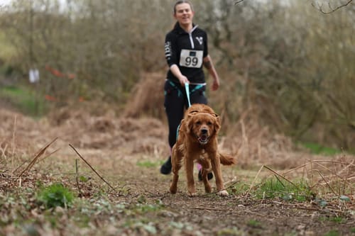 Customer's original photo of a person and dog on a trail, before using the Wild Spirit Lightroom Presets.