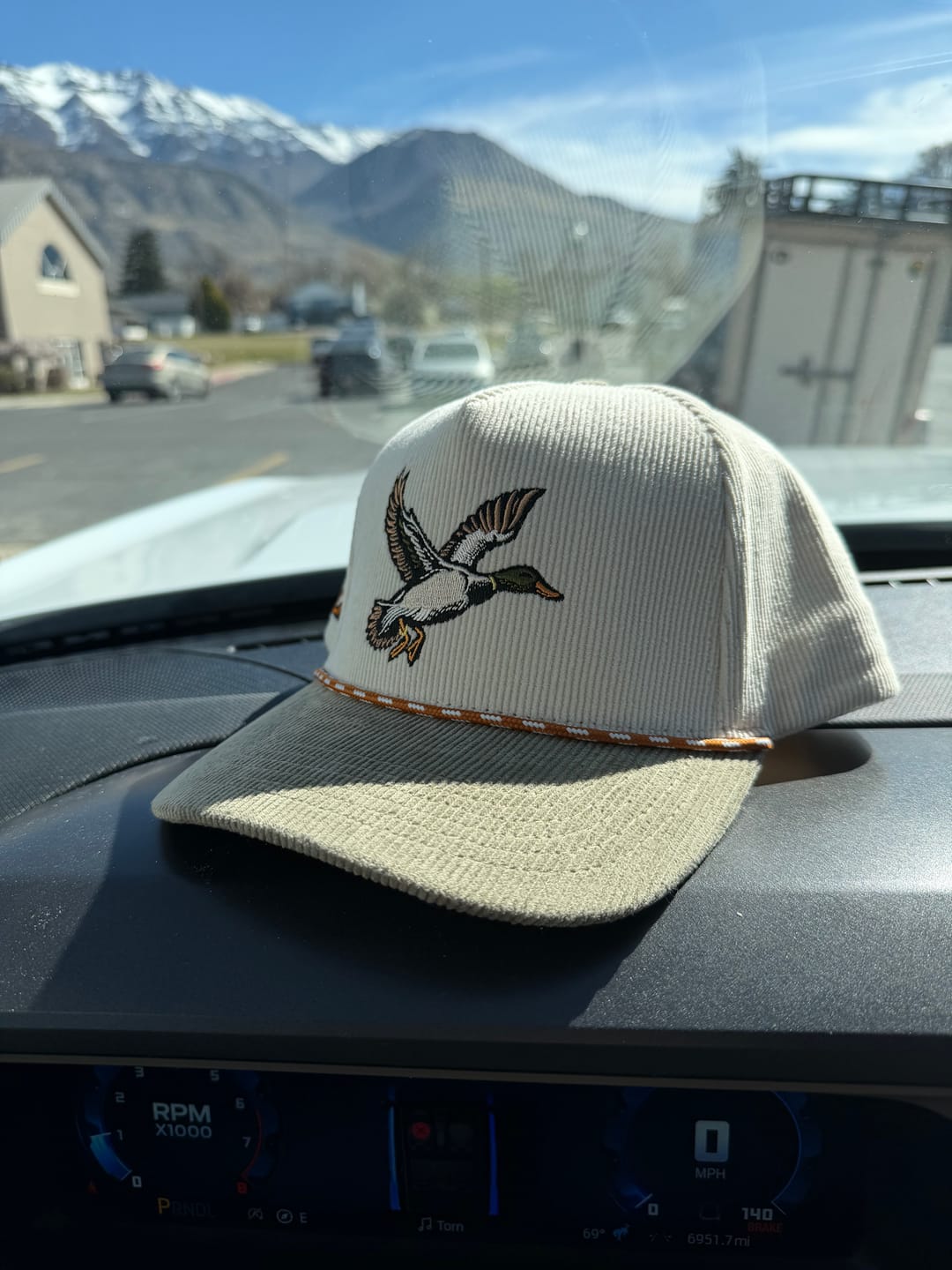 Customer photo review of The Mallard