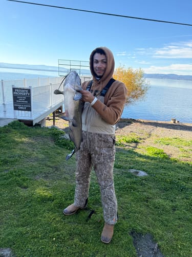 Customer photo review of Men's Cedar Branch Insulated Waterproof Bibs