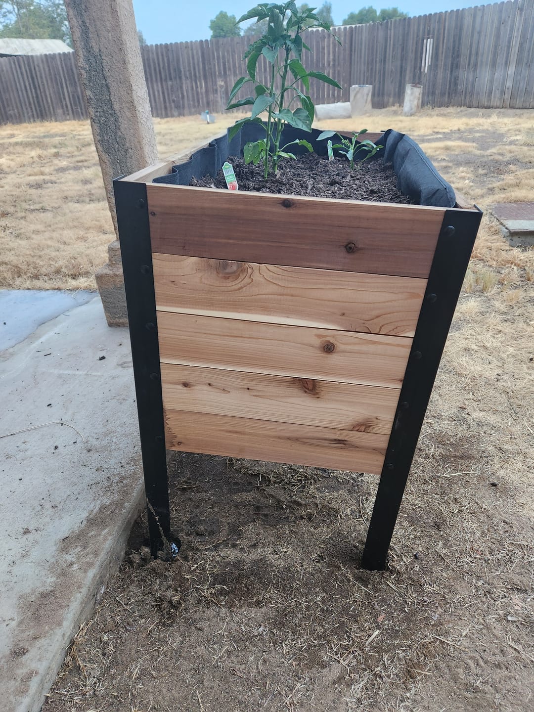 Customer photo review of 18" x 36" Raised Garden Bed - 30" TALL / Garden Grade